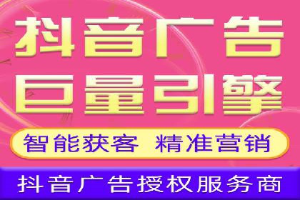 谷歌竞价广告与SEO结合的营销案例解析
